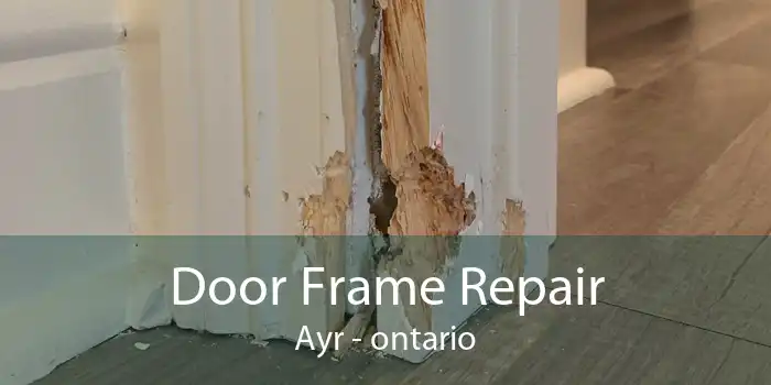Door Frame Repair Ayr - ontario