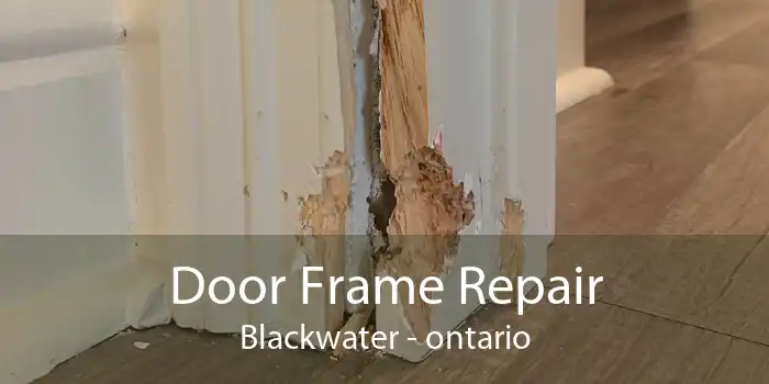 Door Frame Repair Blackwater - ontario