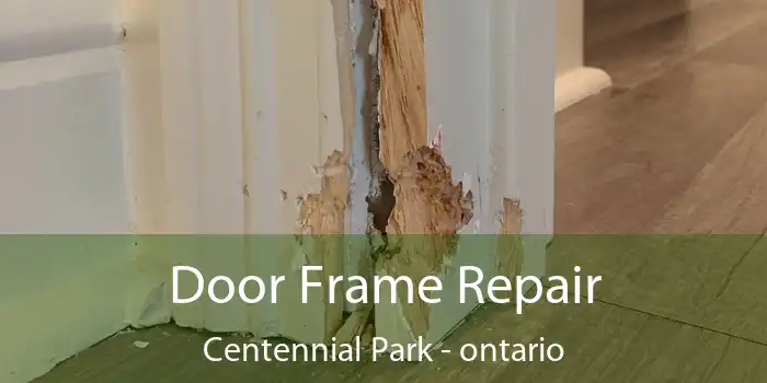 Door Frame Repair Centennial Park - ontario