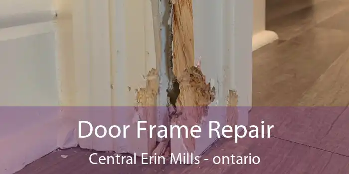 Door Frame Repair Central Erin Mills - ontario