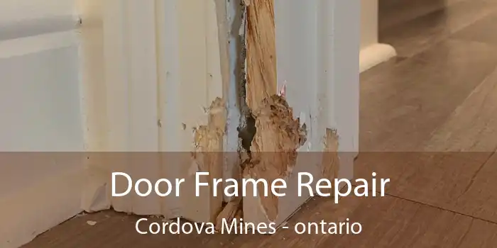 Door Frame Repair Cordova Mines - ontario