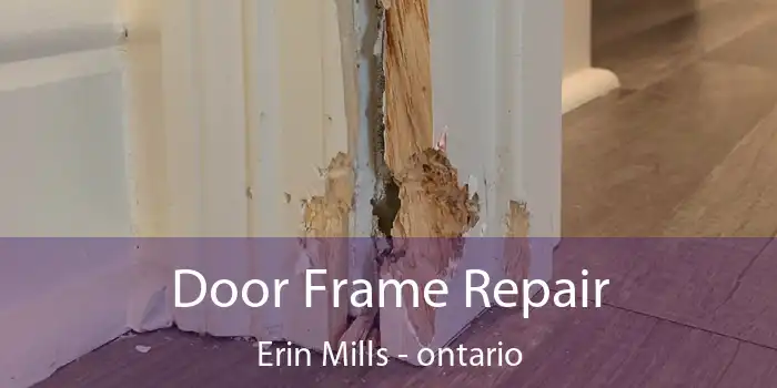 Door Frame Repair Erin Mills - ontario