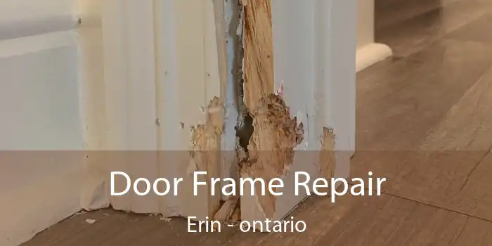 Door Frame Repair Erin - ontario