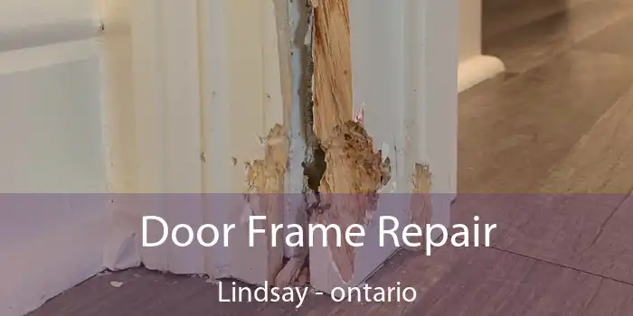 Door Frame Repair Lindsay - ontario