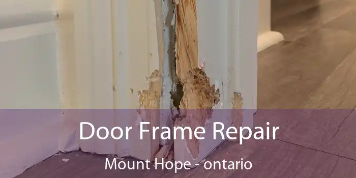 Door Frame Repair Mount Hope - ontario