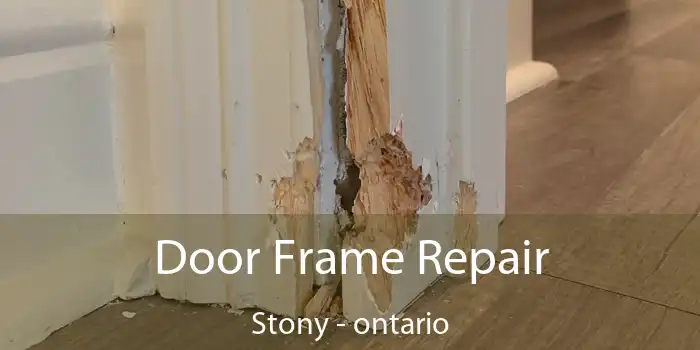 Door Frame Repair Stony - ontario
