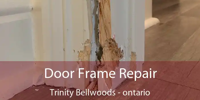 Door Frame Repair Trinity Bellwoods - ontario