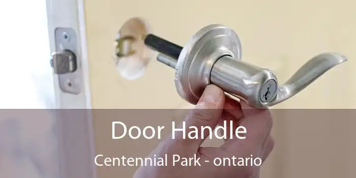 Door Handle Centennial Park - ontario