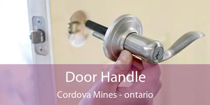 Door Handle Cordova Mines - ontario
