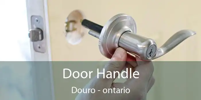Door Handle Douro - ontario