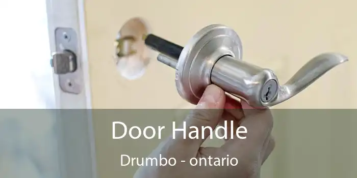 Door Handle Drumbo - ontario
