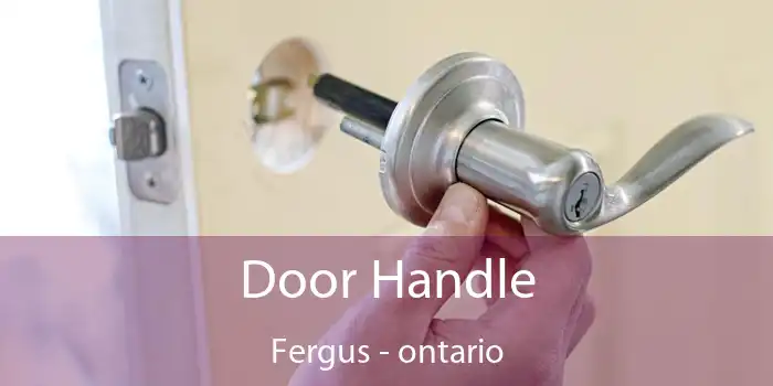 Door Handle Fergus - ontario