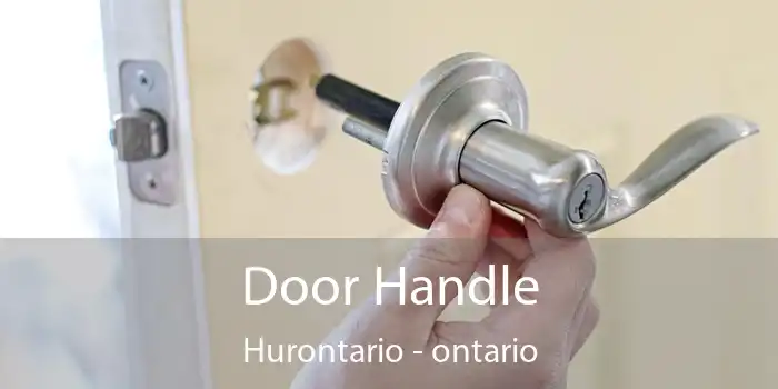 Door Handle Hurontario - ontario