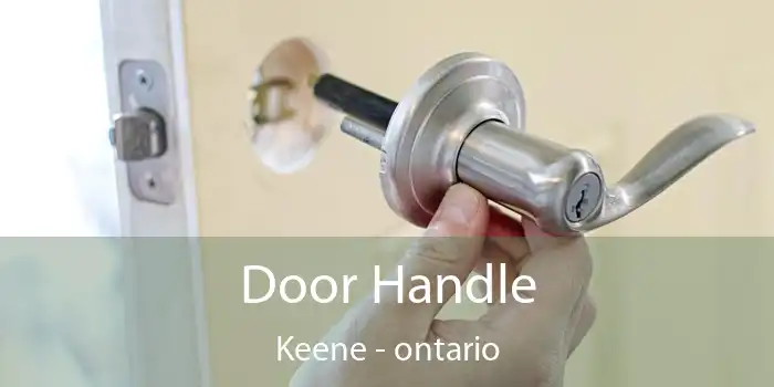 Door Handle Keene - ontario