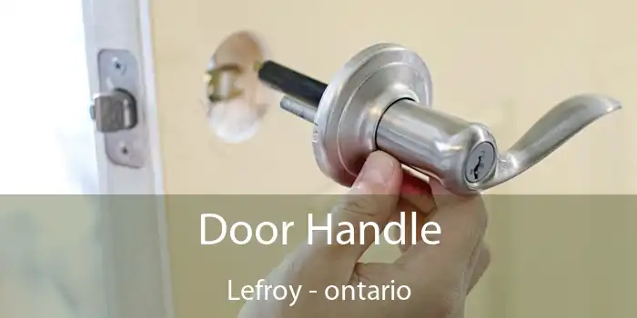 Door Handle Lefroy - ontario