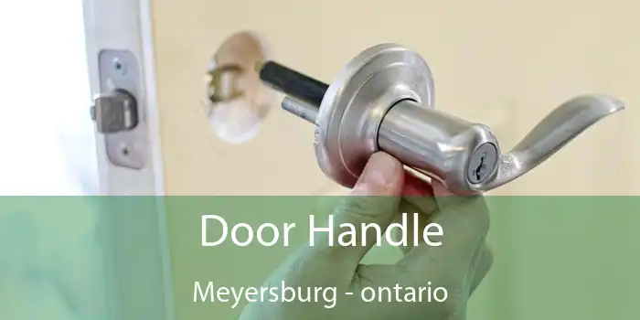 Door Handle Meyersburg - ontario