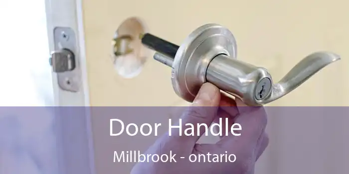 Door Handle Millbrook - ontario