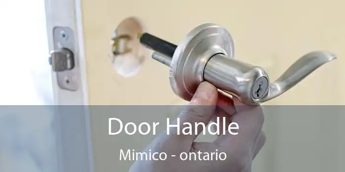 Door Handle Mimico - ontario