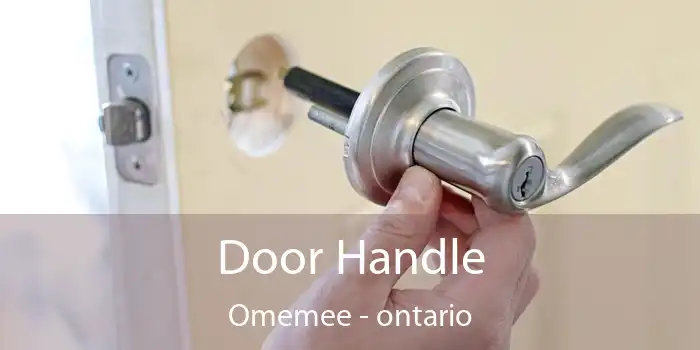 Door Handle Omemee - ontario