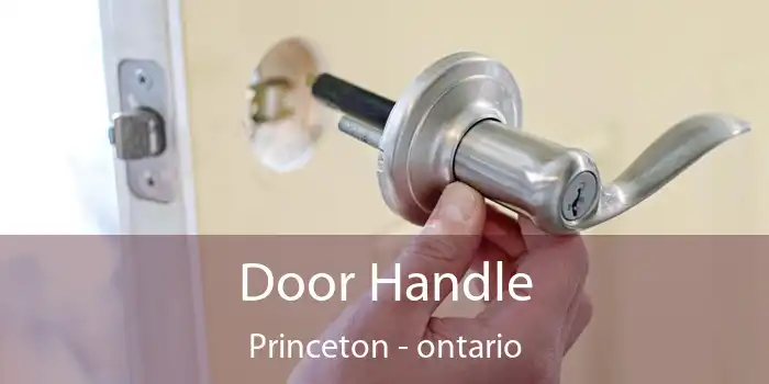 Door Handle Princeton - ontario