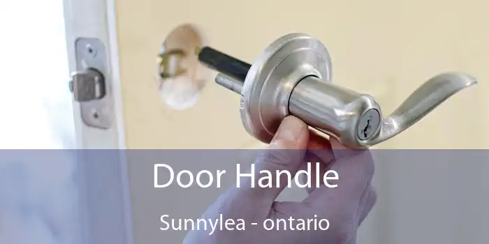 Door Handle Sunnylea - ontario