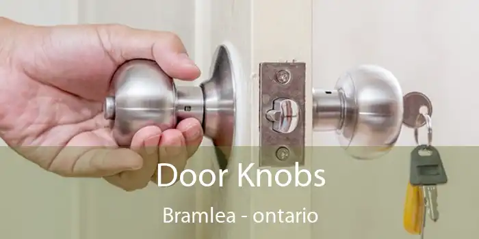 Door Knobs Bramlea - ontario