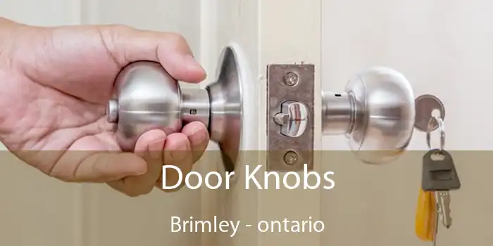 Door Knobs Brimley - ontario