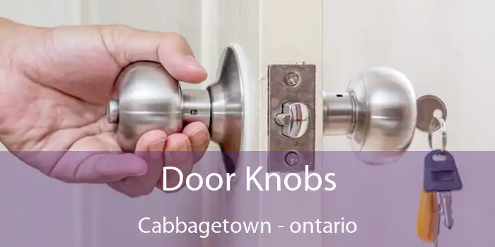 Door Knobs Cabbagetown - ontario