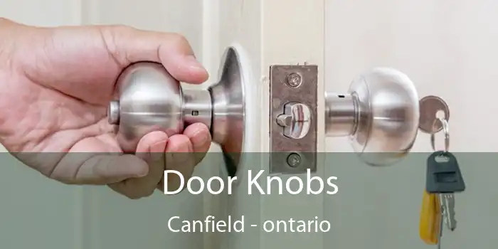 Door Knobs Canfield - ontario