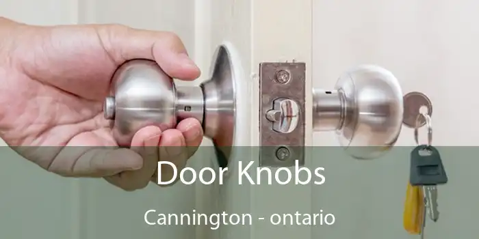 Door Knobs Cannington - ontario