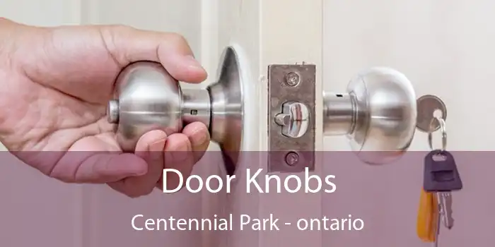 Door Knobs Centennial Park - ontario
