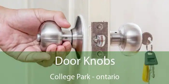 Door Knobs College Park - ontario