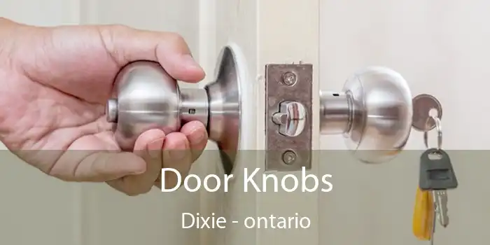 Door Knobs Dixie - ontario