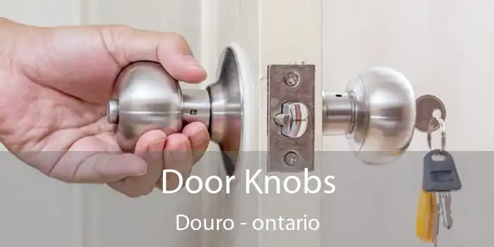 Door Knobs Douro - ontario