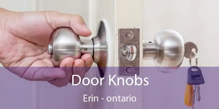 Door Knobs Erin - ontario