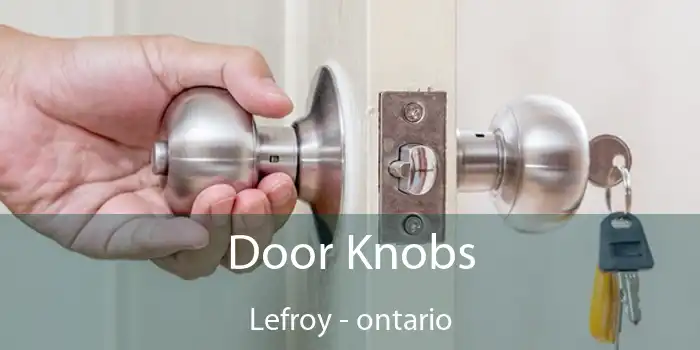 Door Knobs Lefroy - ontario