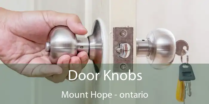 Door Knobs Mount Hope - ontario