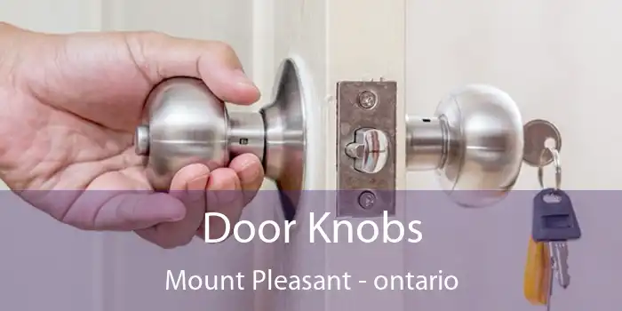 Door Knobs Mount Pleasant - ontario