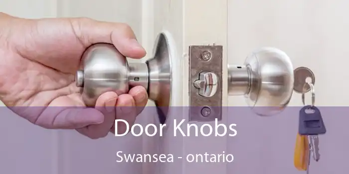 Door Knobs Swansea - ontario