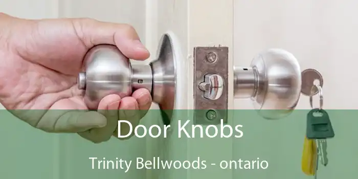 Door Knobs Trinity Bellwoods - ontario