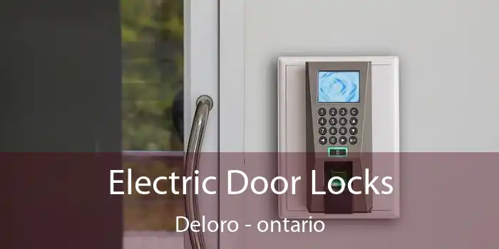 Electric Door Locks Deloro - ontario
