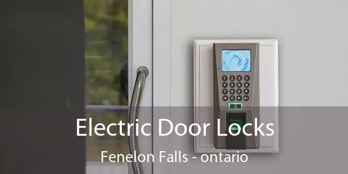 Electric Door Locks Fenelon Falls - ontario