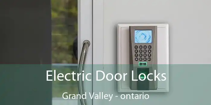 Electric Door Locks Grand Valley - ontario