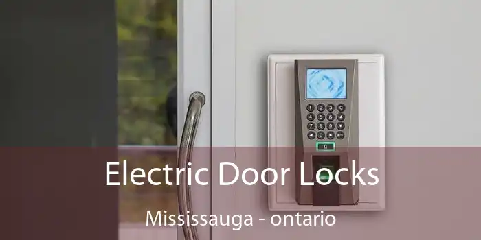 Electric Door Locks Mississauga - ontario