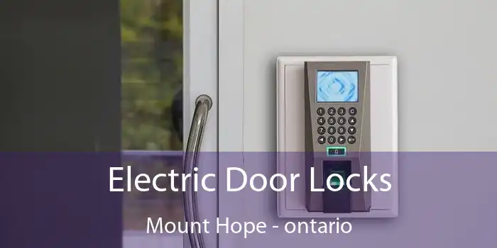 Electric Door Locks Mount Hope - ontario