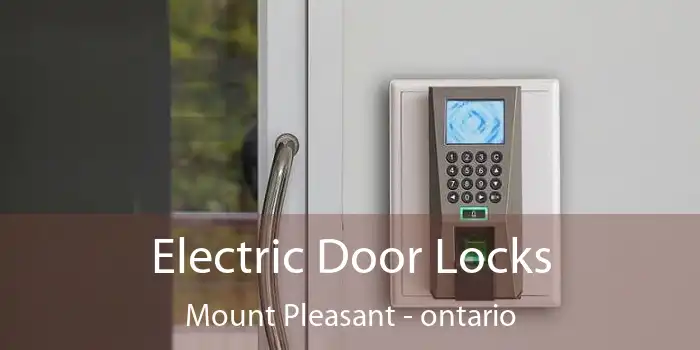 Electric Door Locks Mount Pleasant - ontario