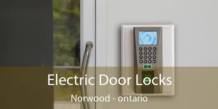 Electric Door Locks Norwood - ontario