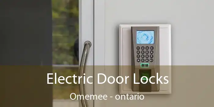 Electric Door Locks Omemee - ontario