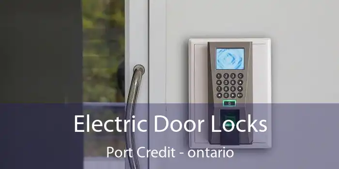Electric Door Locks Port Credit - ontario