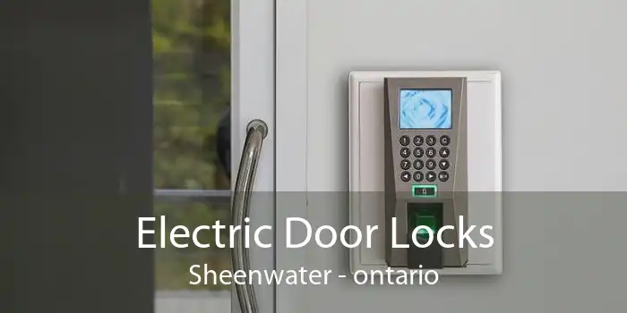 Electric Door Locks Sheenwater - ontario